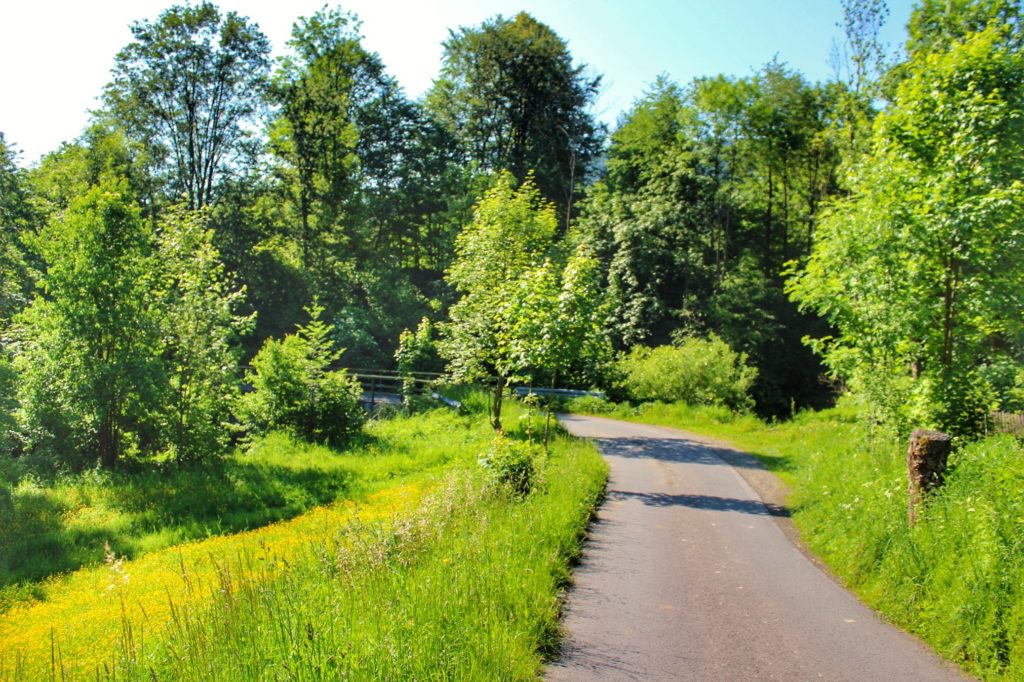 Asfaltowa droga na niebieskim szlaku we wsi Sopotnia Mała