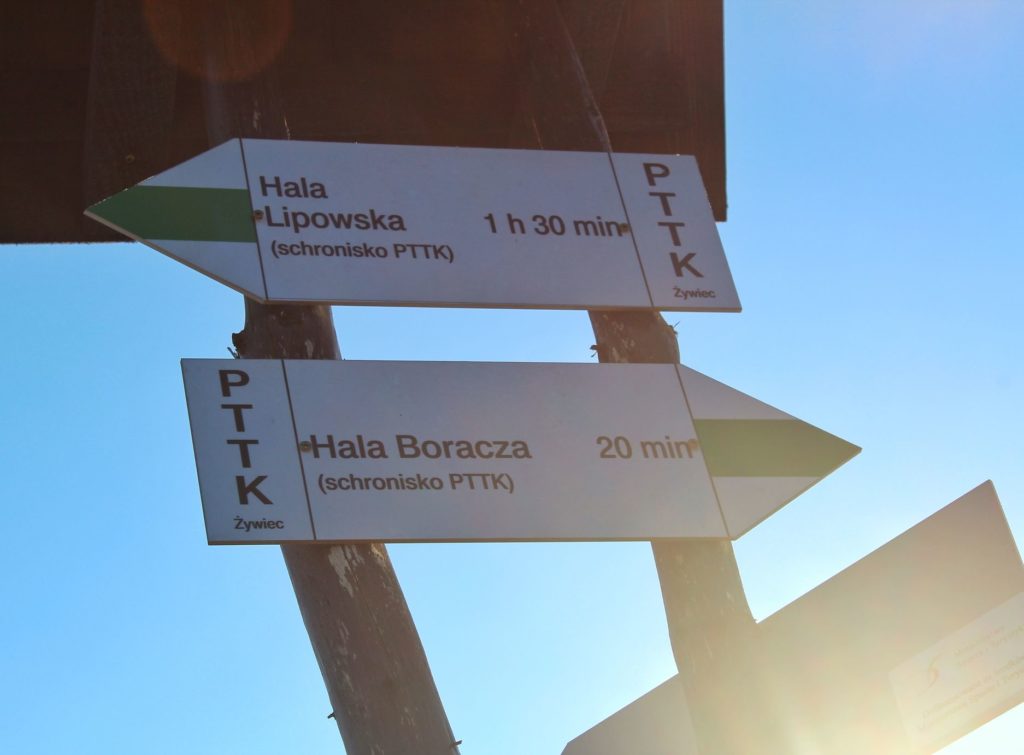Drogowskaz - zielony szlak na Halę Boraczą 20 minut
