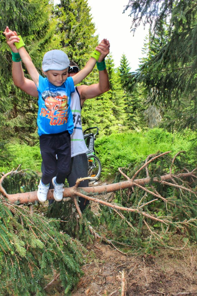 Dziecko pokonujące w lesie przeszkodę - złamane drzewo z pomocą taty