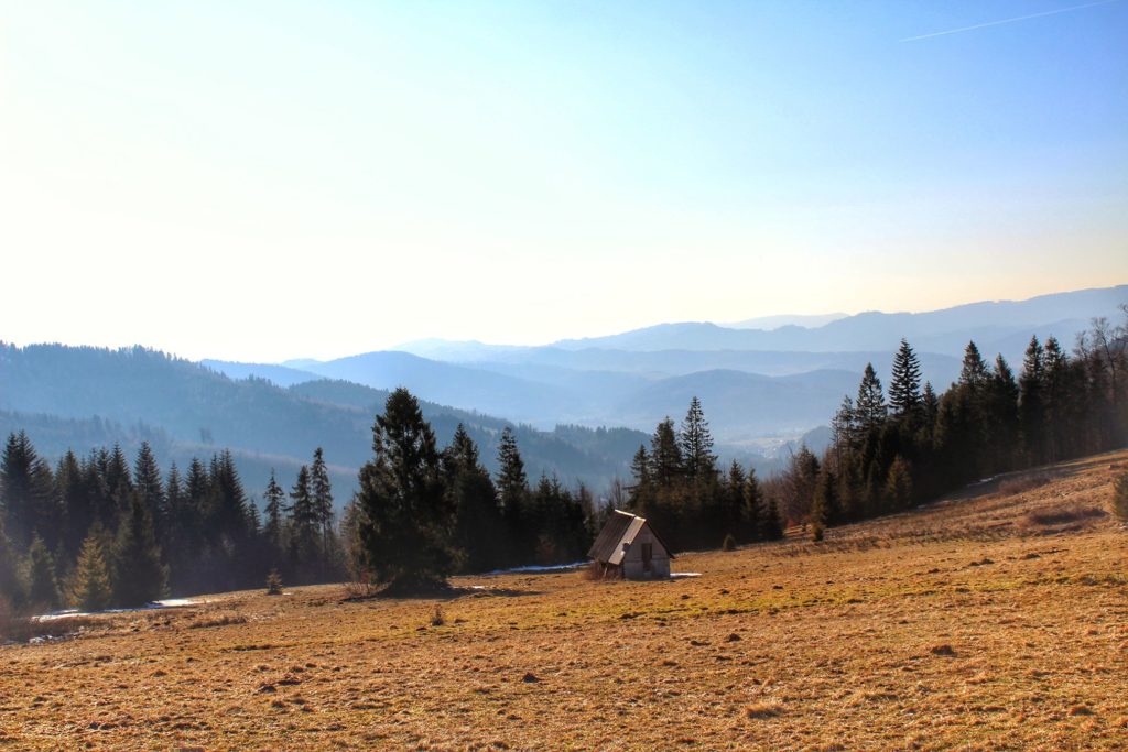 Krajobraz górski - widok z Polany Cukiernica w Beskidach