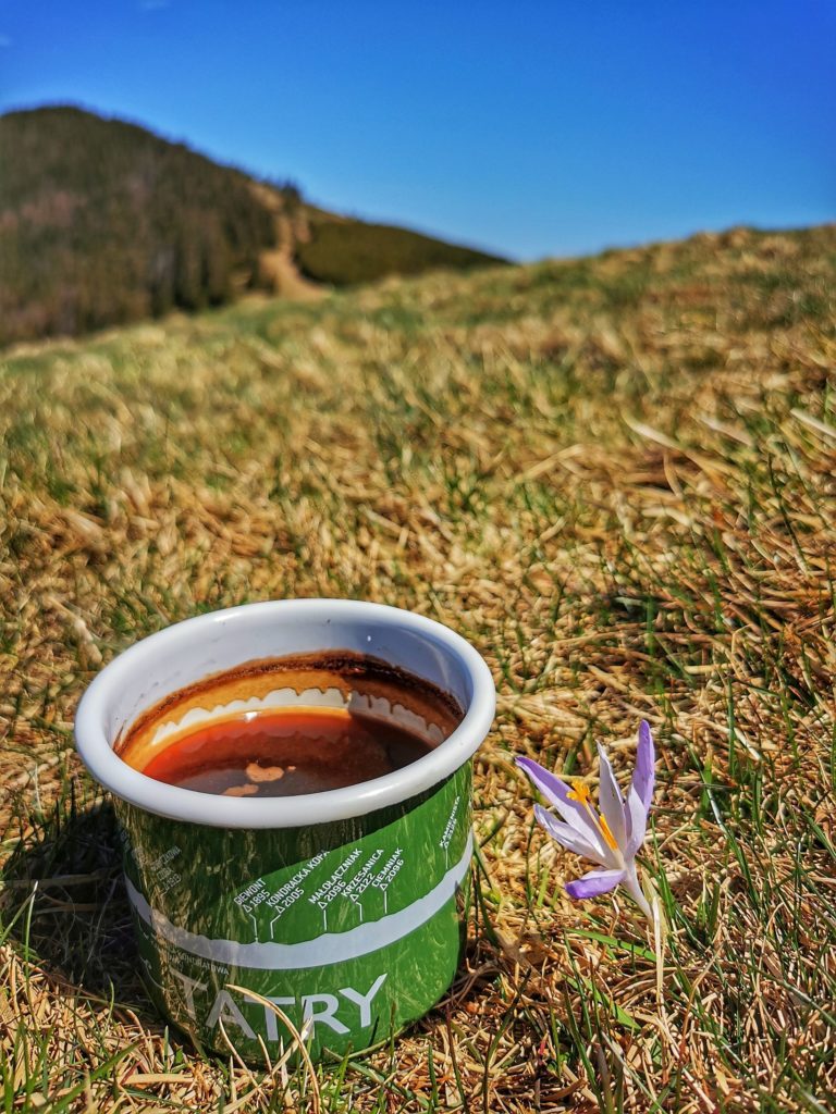 Metalowy kubek z kawą leżący na trawie obok fioletowego krokusa - Hala Pawlusia, widok w kierunku Romanki, piękny, słoneczny dzień