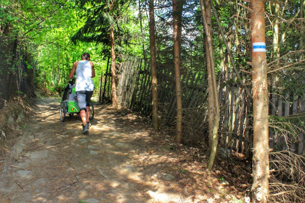 Turysta pchający wózek, Szeroka, utwardzona droga na niebieskim szlaku prowadzącym ze Wsi Radziechowy na Magurkę Radziechowską