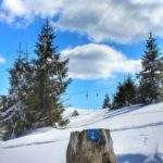 Szlak papieski - Rysianka (Beskid Żywiecki), w oddali widoczny wyciąg narciarski na Rysiance