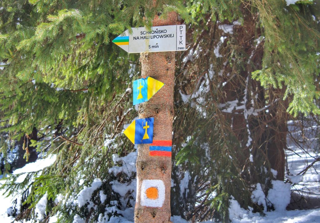 Tabliczka (strzałka) na drzewie szlak niebieski, zielony żółty na Halę Lipowską 5 minut, szlak papieski