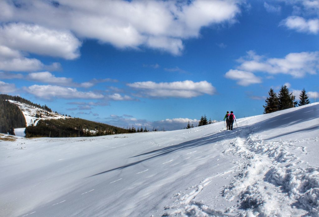 Turyści na zielonym szlaku na Rysiankę pnąca się w górę ścieżka niebieskie niebo
