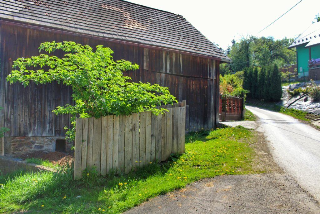 Wieś Radziechowy, drewniany budynek, droga asfaltowa