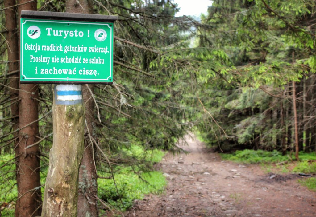 Zielona tablica wisząca na drzewie informująca turystów oostoji rzadkich gatunków zwierząt,na niebieskim szlaku na Romankę, las,