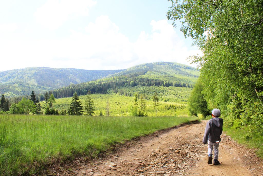 dziecko idące utwardzoną drogą - szlakiem czerwonym w kierunku Wielkiej Raczy wzdłuż łąki