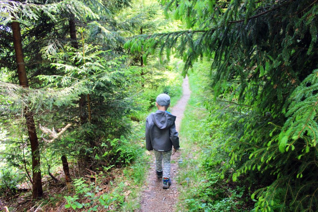 dziecko idące wąską dróżką przez zielony las