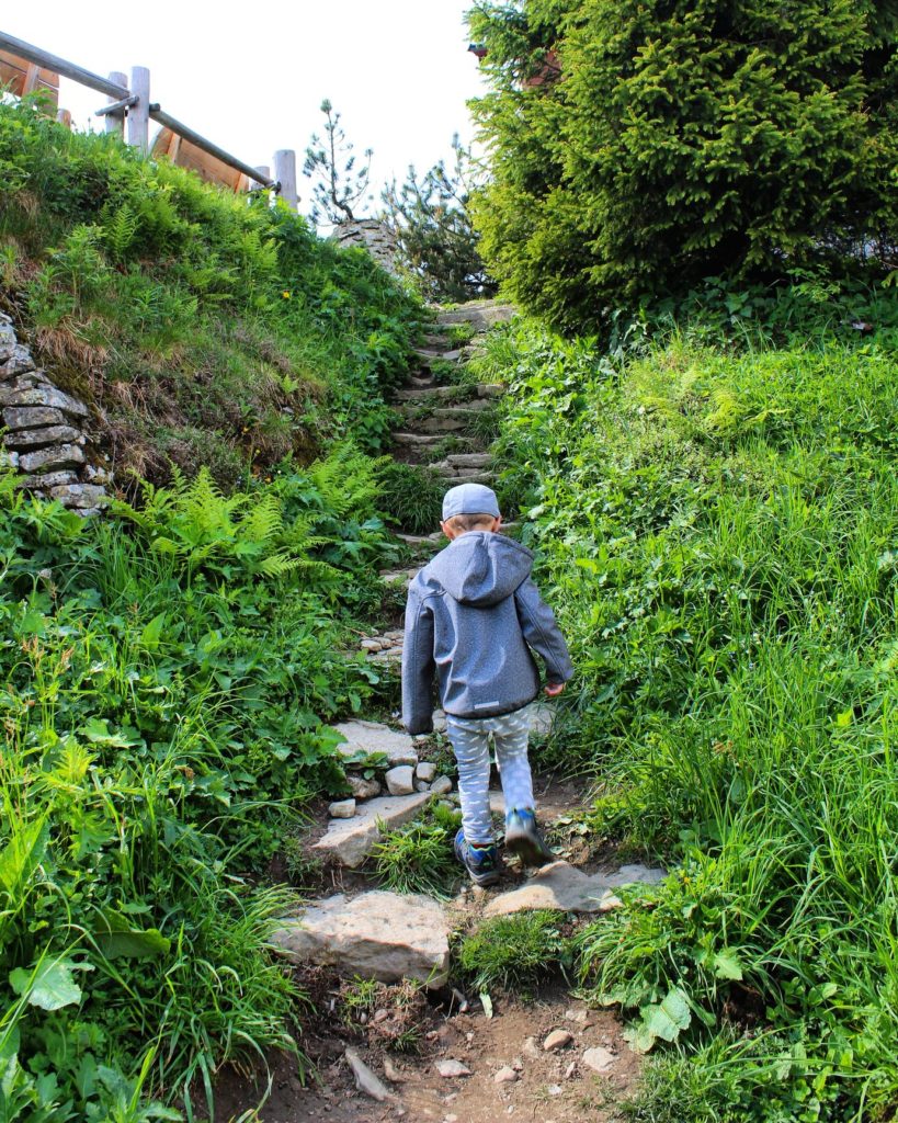 dziecko idące czerwonym szlakiem, wchodzące na schody prowadzące do schroniska na Wielkiej Raczy