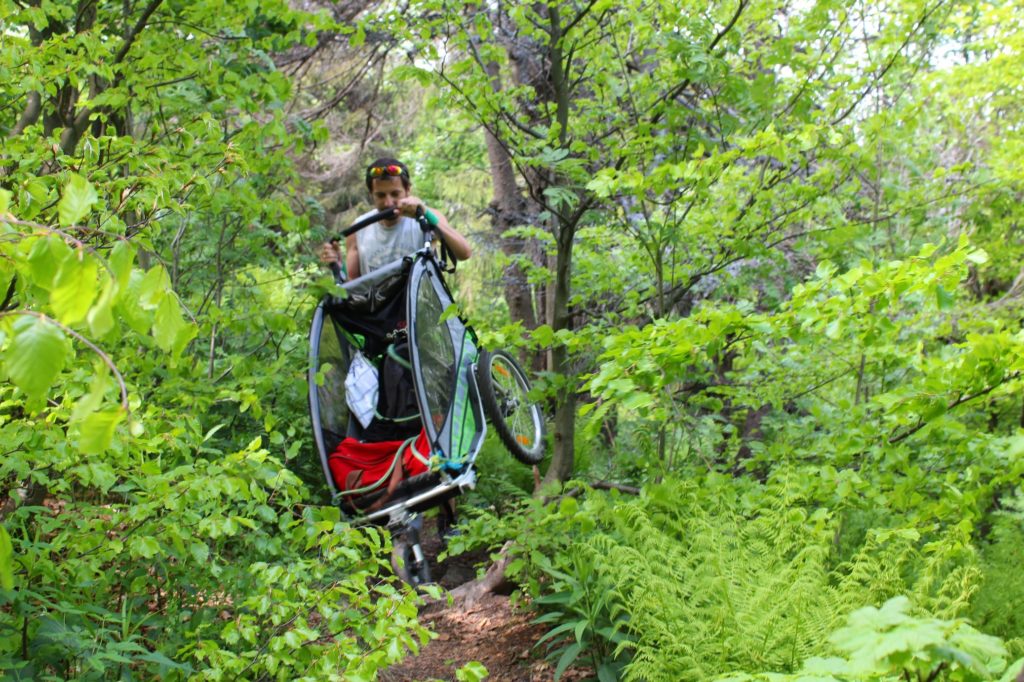 mężczyzna podnoszący wózek qeridoo, idący wąską dróżką prowadzącą przez gęsty las na czerwonym szlaku na Wielką Raczę