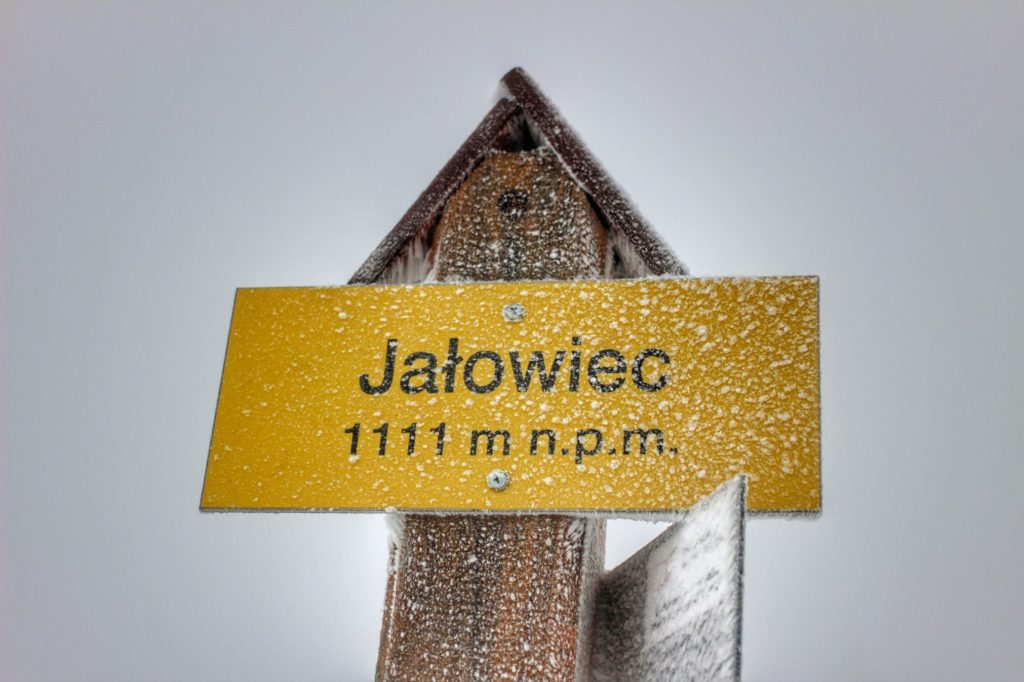 Żółta tabliczka z napisem Jałowiec 1111 m n.p.m.n.