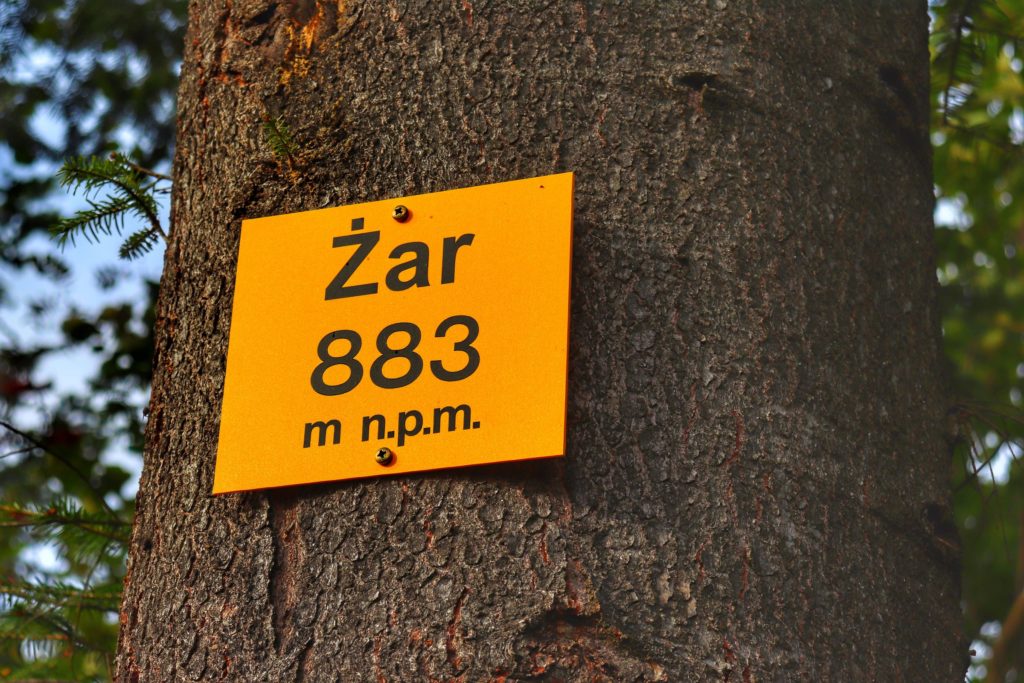 Żółta tabliczka przymocowana do drzewa, oznaczająca szczyt ŻAR (883 m n.p.m.) w Pieniach Spiskich