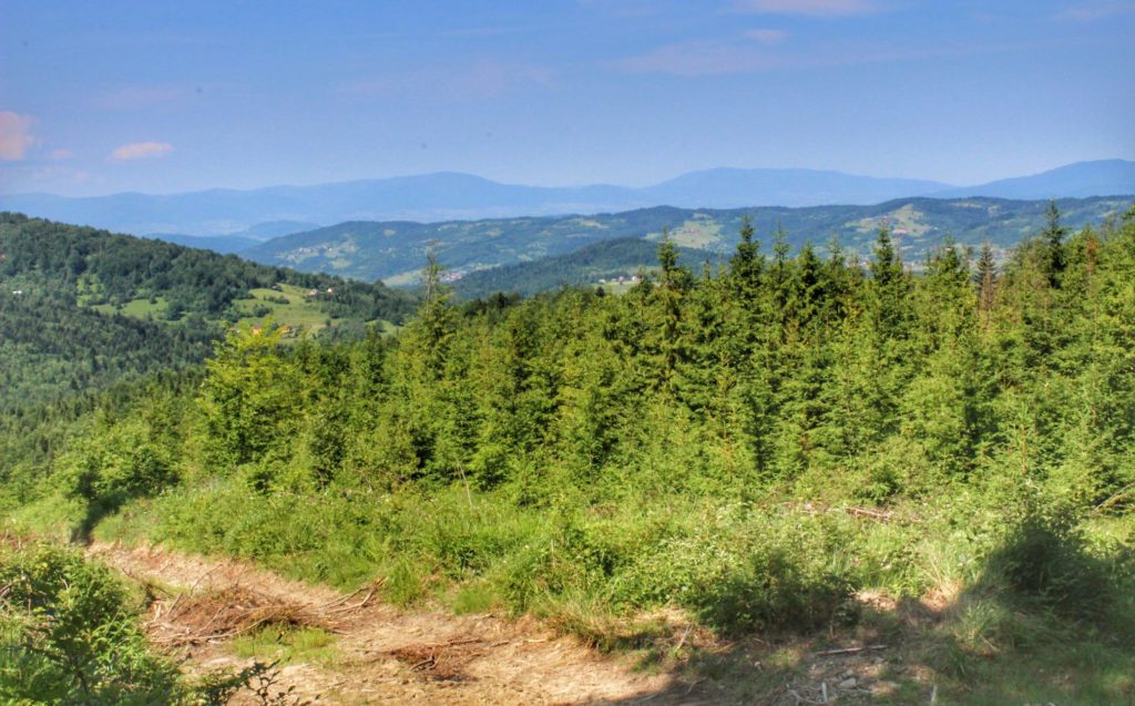Krajobraz górski na szlaku na Jałowiec ze Stryszawy