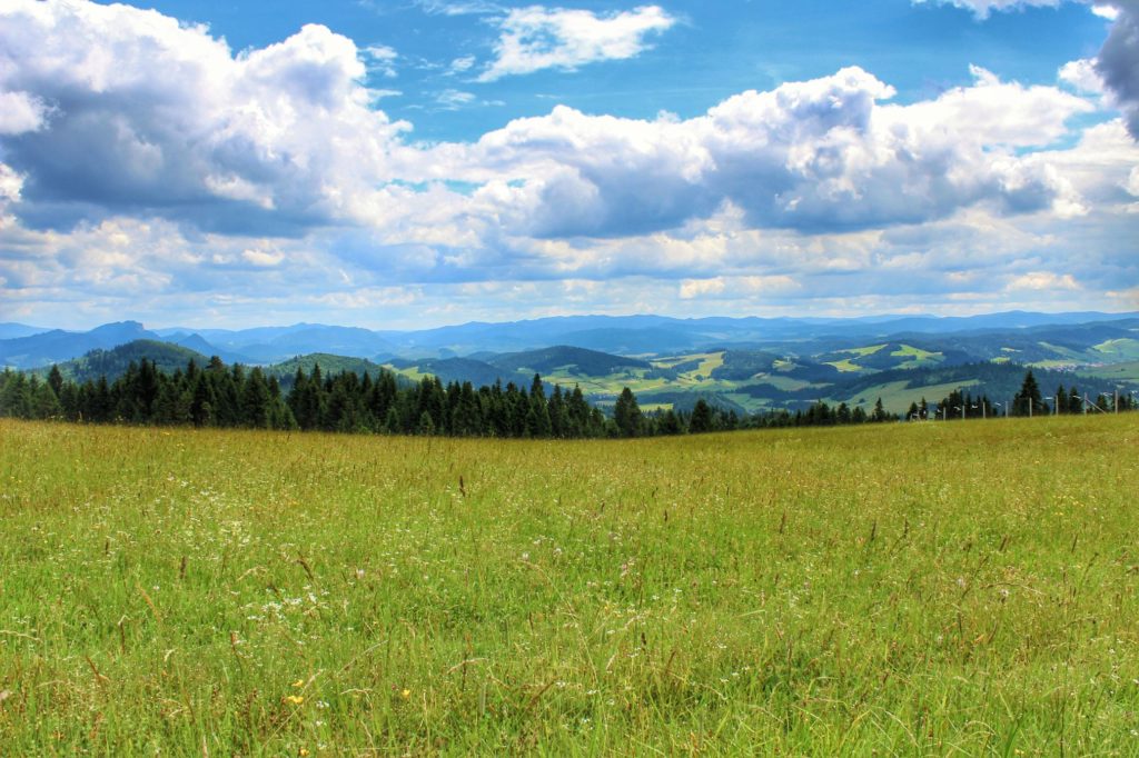 Krajobraz rozciągający się z polany w Pieninach w drodze na Żar