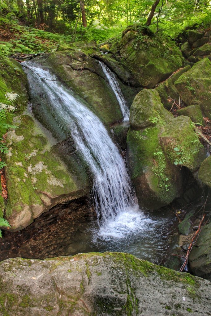 Las, piękny wodospad, skały w Stryszawie