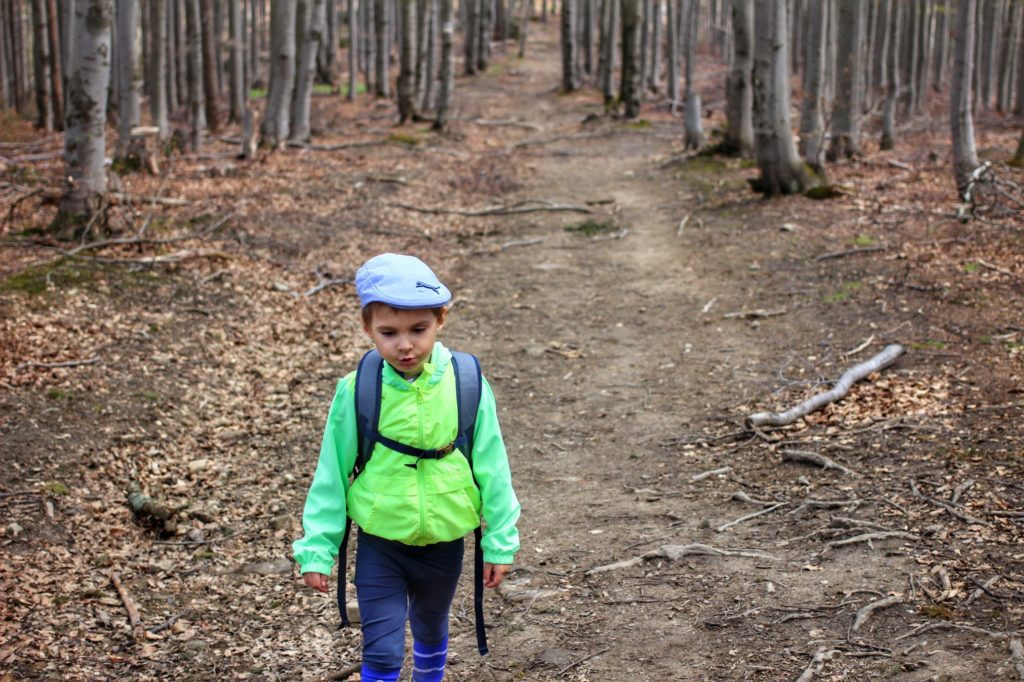 Mały turysta, dziecko idące szeroką leśną drogą