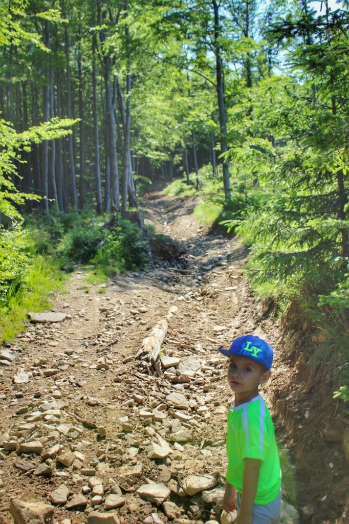 Mały turysta,dziecko na kamienistej ścieżce leśnej
