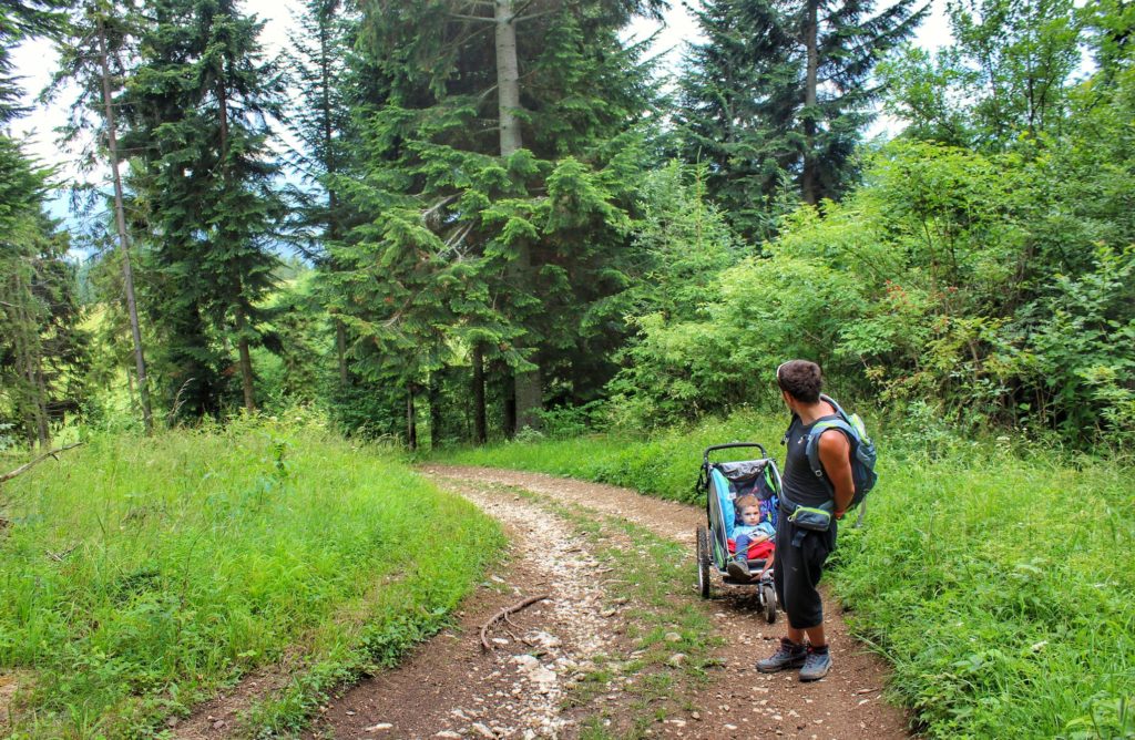 Turysta ciągnący wózek na pienińskim szlaku, leśna ścieżka