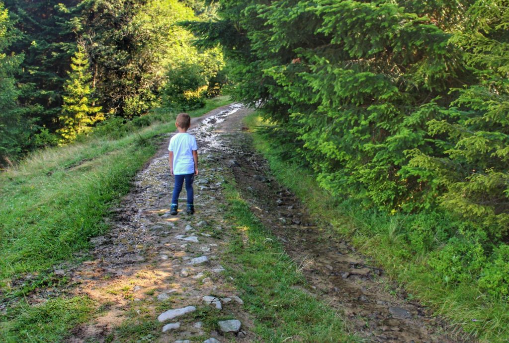 Dziecko idące szeroką, leśną drogą - Nowy Targ