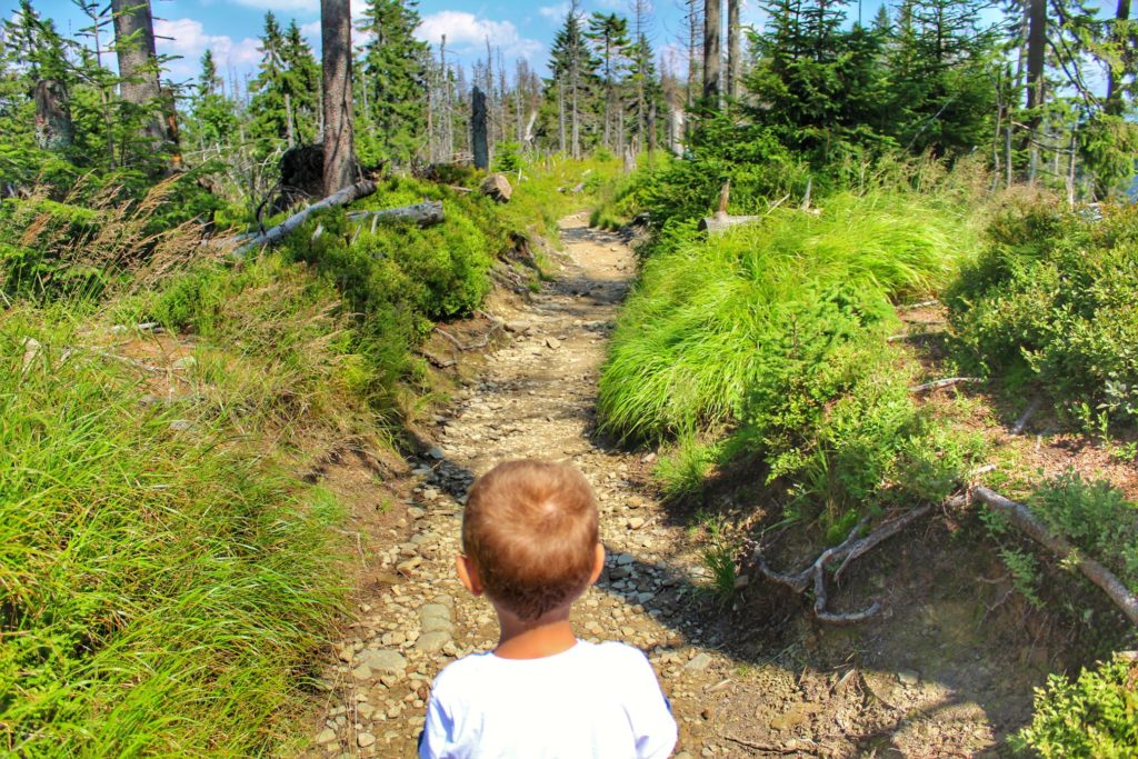 Dziecko, wąska ścieżka leśna w Gorcach