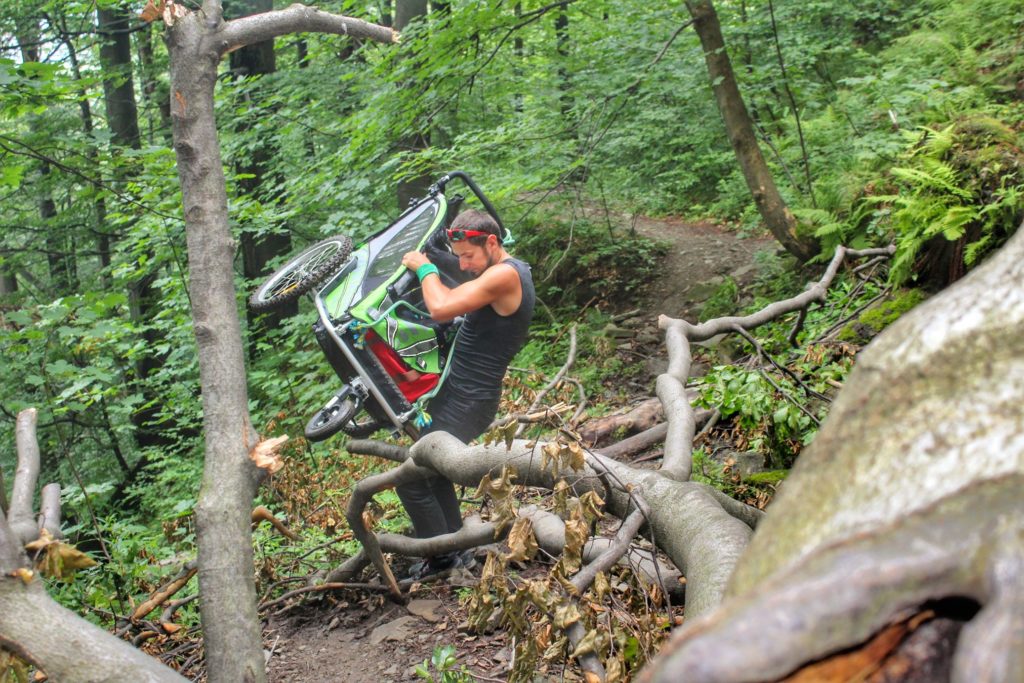 Mężczyzna przenoszący wózek przez połamane drzewa, las