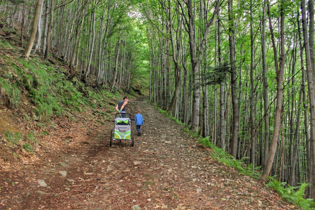 Turysta z dzieckiem ciągnący wózek pod górkę na niebieskim szlaku na Wielką Czantorię, droga leśna