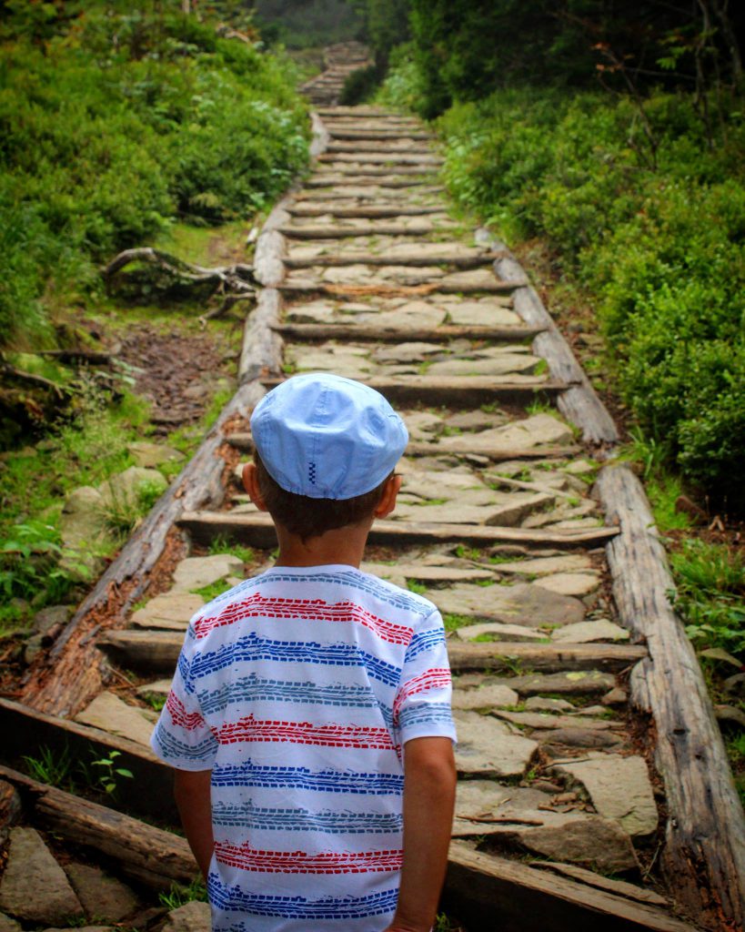 Mały chłopiec obrócony tyłem, patrzący na kamienno - drewnianą ścieżkę na początku szlaku prowadzącym z Przełęczy Krowiarki na Sokolicę 