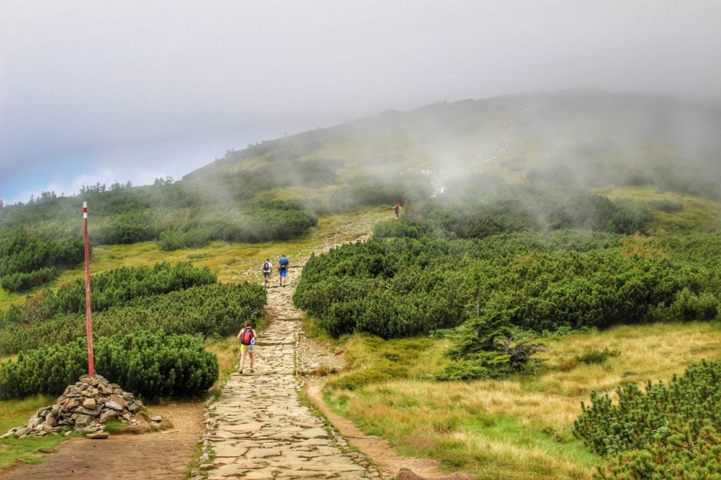 Chodnik na czerwonym szlaku idącym w kierunku Babiej Góry, mgła, turyści,widok na Gówniak