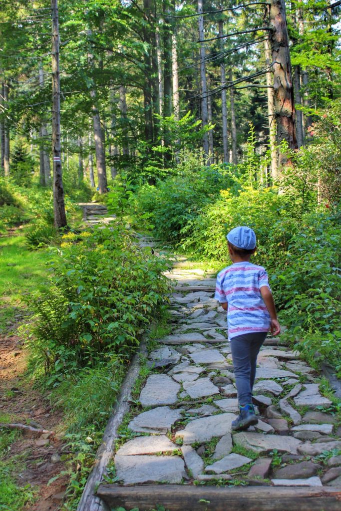 Dziecko idące czerwonym szlakiem prowadzącym z Krowiarek na Babią Górę, leśna ścieżka