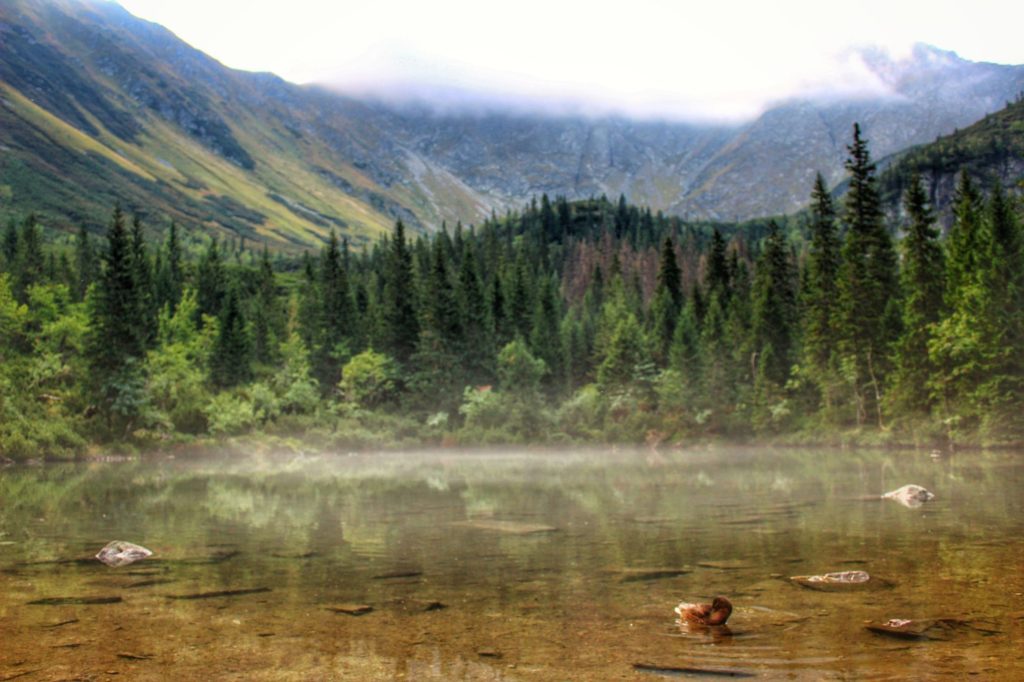 Tatliakowe Jezioro leżące u podnóża tatrzańskich szczytów, mglisto nad jeziorem