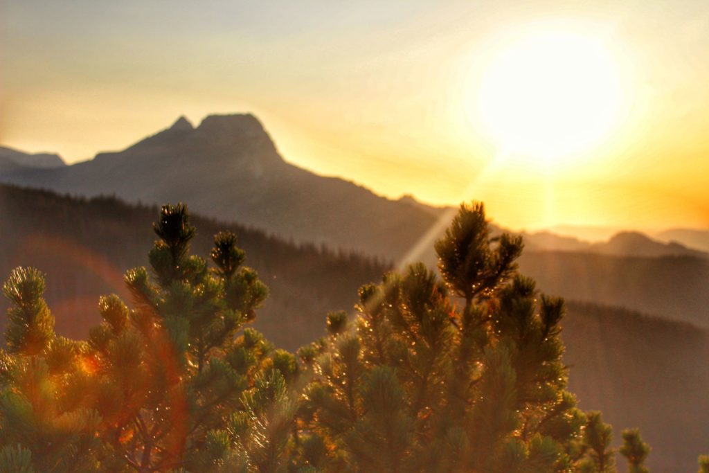 Tatry Wysokie, zachód słońca, Giewont, oświetlona przez promienie słoneczne kosodrzewina