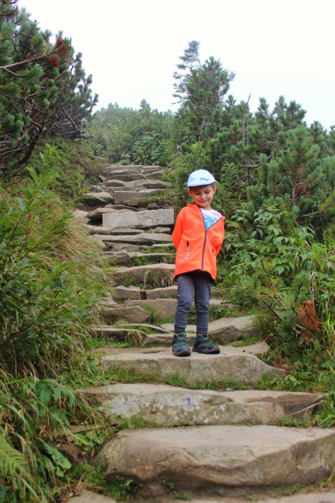 Uśmiechnięte, zawstydzone dziecko na skalnych schodach między kosodrzewiną na szlaku prowadzącym na szczyt Kępa