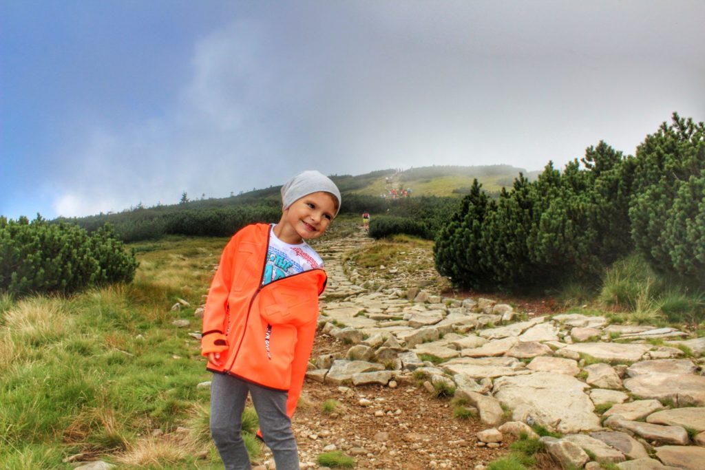 Uśmiechnięte dziecko na czerwonym szlaku na Babią Górę, kosodrzewina, w oddali widać turystów