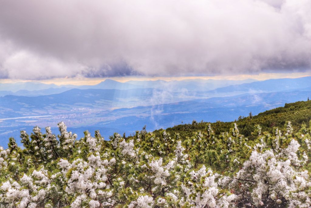 widok na Tatry oraz pobliskie szczyty z okolic Diablaka, zachmurzone niebi, które się przejaśnia, zaśnieżona kosodrzewina