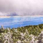 widok na Tatry oraz pobliskie szczyty z okolic Diablaka, zachmurzone niebi, które się przejaśnia, zaśnieżona kosodrzewina