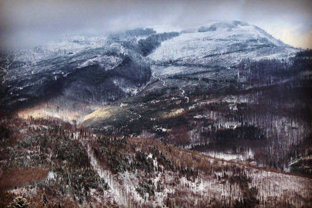 Zimowa Muronka, widok na zaśnieżone, zamglone Skrzyczne