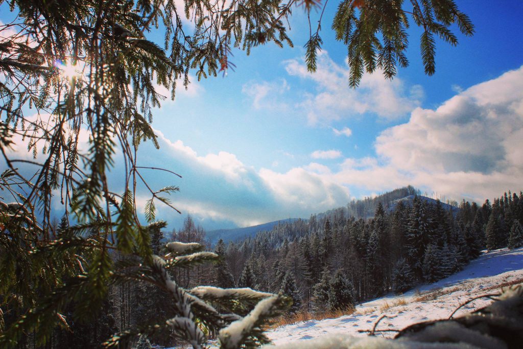 Widok z Hali Jaworzyna zimą na pobliskie szczyty