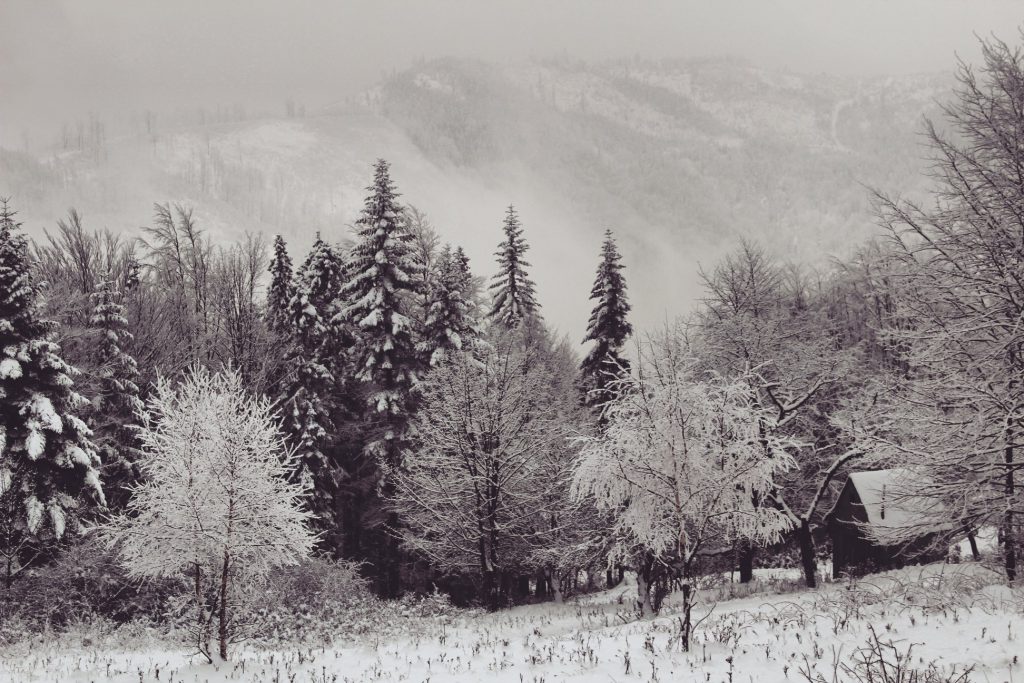Czarno białe ujęcie Hali Jaworzyna, zima w pełni, ośnieżone drzewa, pobliskie szczyty górskie 