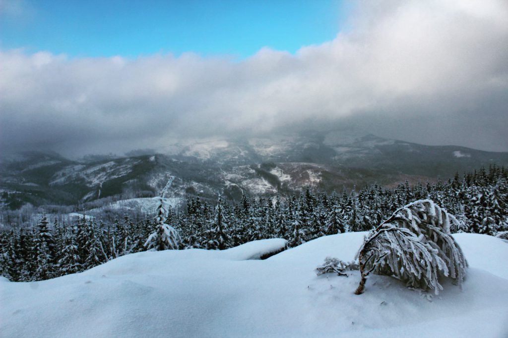 Magurka Radziechowska w zimowej scenerii, widok na szczyt Skrzyczne, przykryty gęstymi chmurami