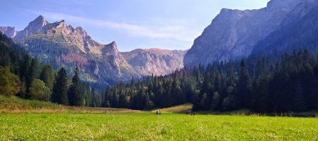 Wielka Polana Małołącka szlak z Gronika – łatwy szlak w Tatrach