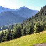 Polana Kalatówki - widok na Kasprowy Wierch, las, słońce