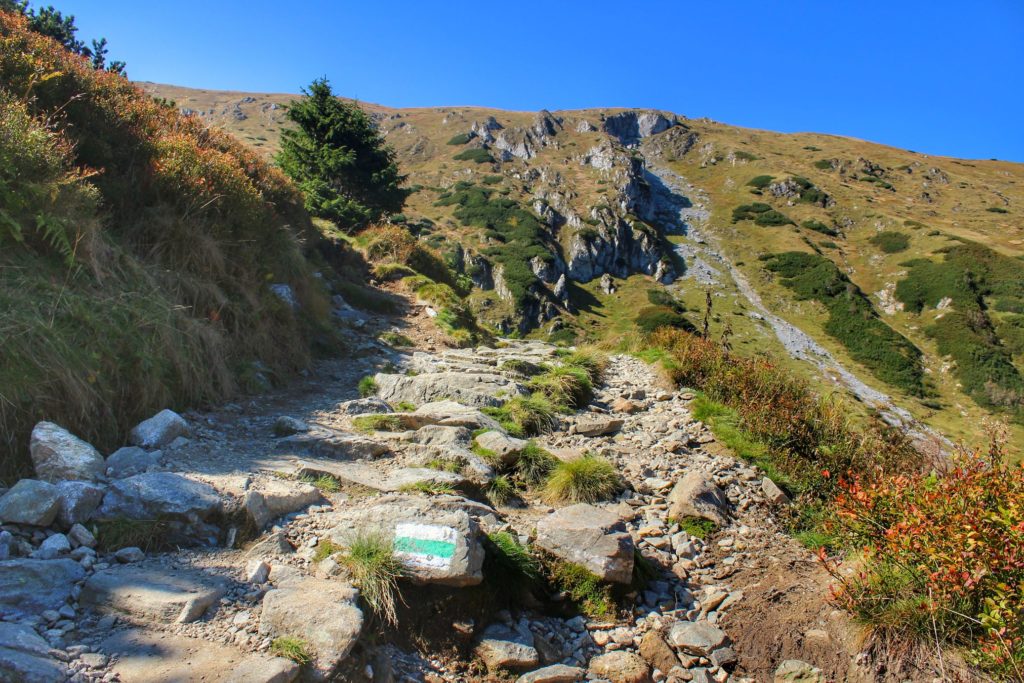 Szlak zielony idący na Przełęcz pod Kopą Kondracką w Tatrach Zachodnich, skalne podejście