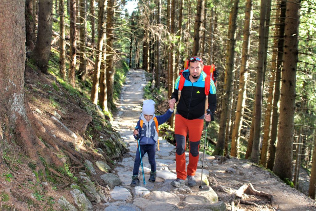 Turysta z dzieckiem na niebieskim szlaku idącym do schroniska na Hali Kondratowej, skalna, leśna ścieżka