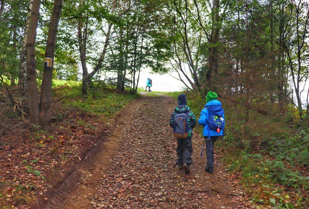Dzieci idące stromo w górę szeroką, leśną drogą. Miejsce skrętu szlaku żółtego na Trzy Kopce Wiślańskie w lewo