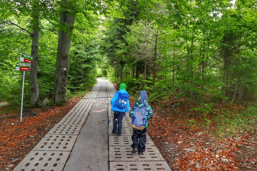 Dzieci idące szeroką drogą leśną - żółty szlak na Trzy Kopce Wiślańskie