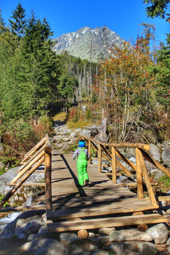Dziecko idące po drewnianym moście w Tatrach Wysokich na Słowacji, w oddali widoczne tatrzańskie szczyty