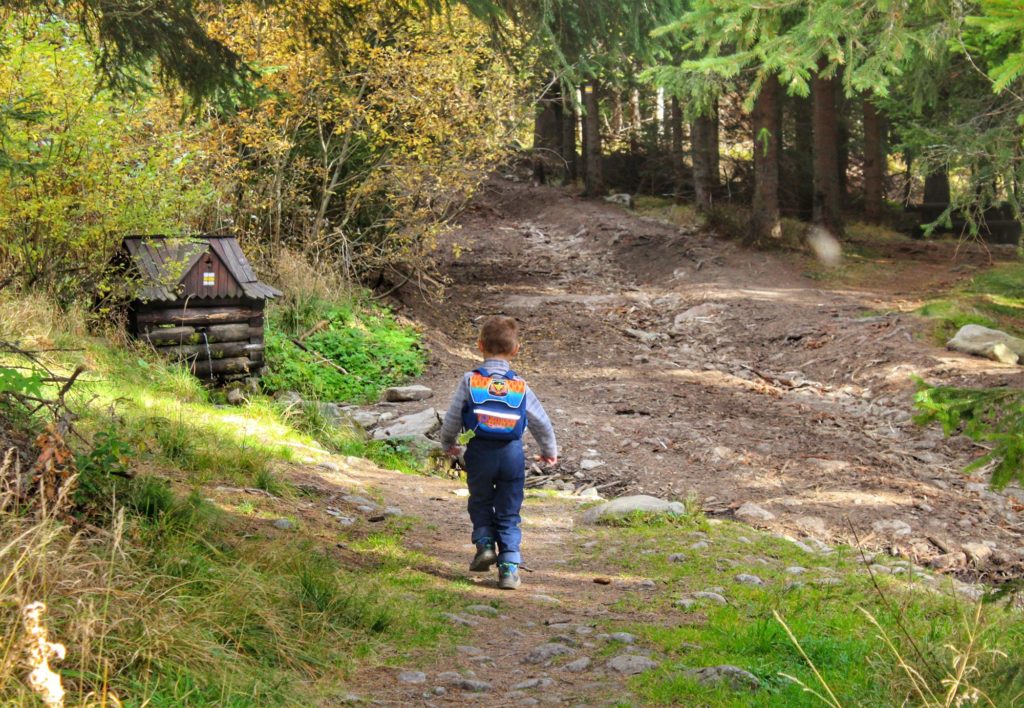 Dziecko na żółtym szlaku w Tatrach Wysokich, Słowacja, leśna ścieżka, drewniany domek z górską wodą
