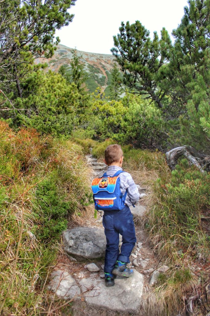 Dziecko wędrujące wąską ścieżką, w oddali widoczne tatrzańskie szczyty
