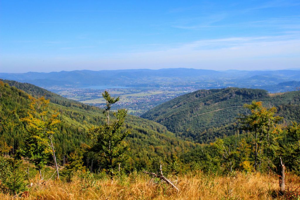 Polana, z której rozciąga się panorama na pobliskie pasma górski, w tym na Żywiec oraz jezioro Żywieckie